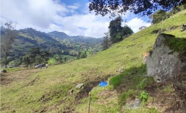 Finca en Venta en el municipio de Choachí Cundinamarca
