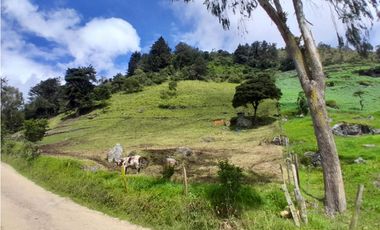 Finca en Venta en el municipio de Choachí Cundinamarca