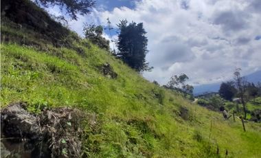 Finca en Venta en el municipio de Choachí Cundinamarca
