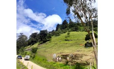 Finca en Venta en el municipio de Choachí Cundinamarca