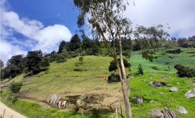 Finca en Venta en el municipio de Choachí Cundinamarca
