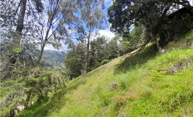 Finca en Venta en el municipio de Choachí Cundinamarca