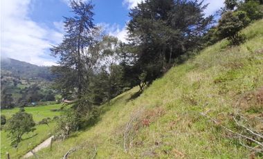 Finca en Venta en el municipio de Choachí Cundinamarca
