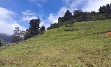 Finca en Venta en el municipio de Choachí Cundinamarca