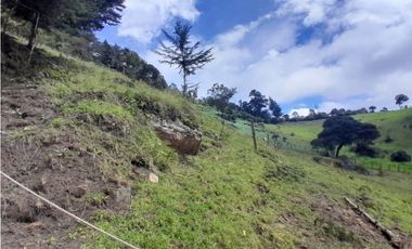 Finca en Venta en el municipio de Choachí Cundinamarca
