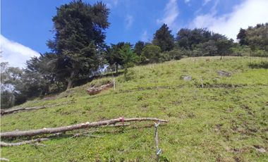 Finca en Venta en el municipio de Choachí Cundinamarca