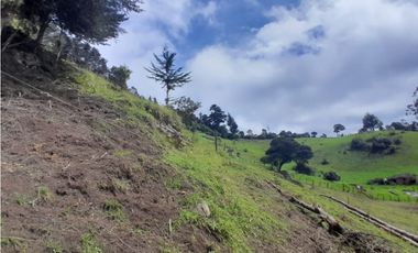 Finca en Venta en el municipio de Choachí Cundinamarca