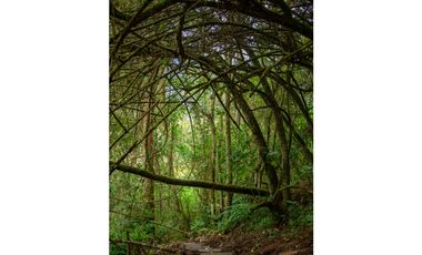 Vendo Lote con Casa Campestre, Laguna de Ubaque, Cundinamarca