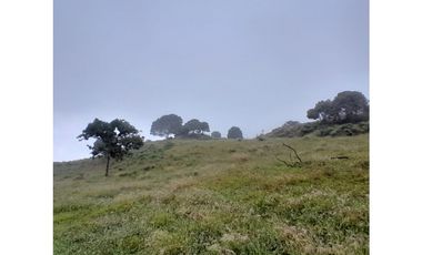 Venta de Finca Rural, Vereda La Llanada, Choachí, Cundinamarca