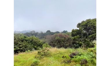 Venta de Finca Rural, Vereda La Llanada, Choachí, Cundinamarca