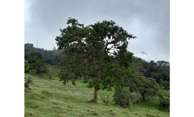 Venta de Finca Rural, Vereda La Llanada, Choachí, Cundinamarca