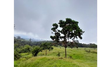 Venta de Finca Rural, Vereda La Llanada, Choachí, Cundinamarca