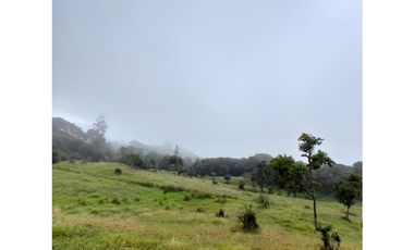 Venta de Finca Rural, Vereda La Llanada, Choachí, Cundinamarca