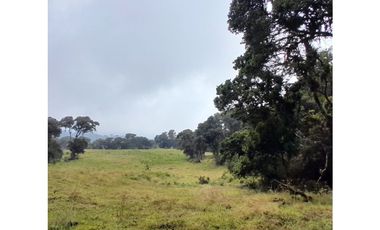 Venta de Finca Rural, Vereda La Llanada, Choachí, Cundinamarca