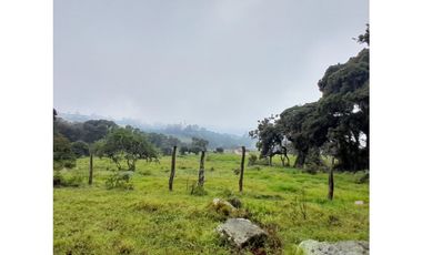 Venta de Finca Rural, Vereda La Llanada, Choachí, Cundinamarca