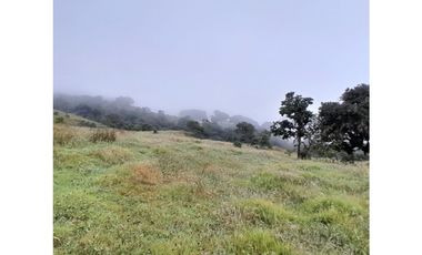 Venta de Finca Rural, Vereda La Llanada, Choachí, Cundinamarca