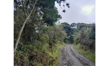 Venta de Finca Rural, Vereda La Llanada, Choachí, Cundinamarca