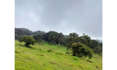 Venta de Finca Rural, Vereda La Llanada, Choachí, Cundinamarca