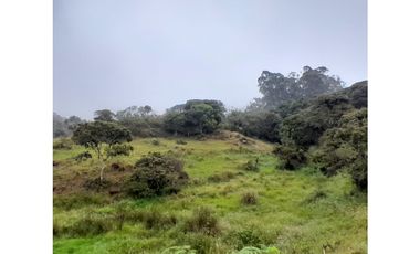 Venta de Finca Rural, Vereda La Llanada, Choachí, Cundinamarca