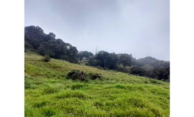 Venta de Finca Rural, Vereda La Llanada, Choachí, Cundinamarca