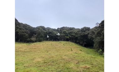 Venta de Finca Rural, Vereda La Llanada, Choachí, Cundinamarca