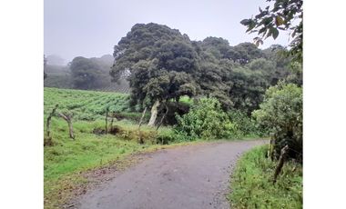 Venta de Finca Rural, Vereda La Llanada, Choachí, Cundinamarca