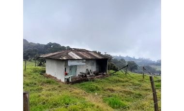Venta de Finca Rural, Vereda La Llanada, Choachí, Cundinamarca