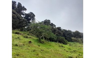 Venta de Finca Rural, Vereda La Llanada, Choachí, Cundinamarca
