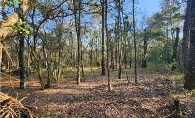 Terreno en Quinta Andrea, Huasca de Ocampo, Hgo, Malla Verde