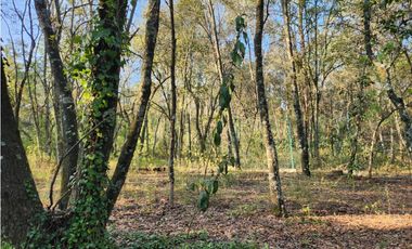 Terreno en Quinta Andrea, Huasca de Ocampo, Hgo, Malla Verde