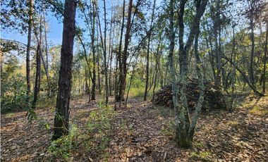 Terreno en Quinta Andrea, Huasca de Ocampo, Hgo, Malla Verde