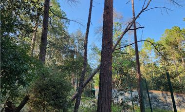 Terreno en Quinta Andrea, Huasca de Ocampo, Hgo, Malla Verde