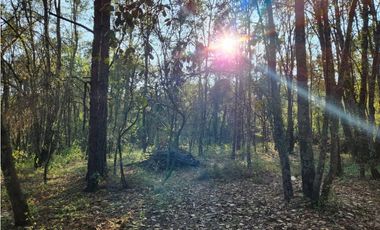 Terreno en Quinta Andrea, Huasca de Ocampo, Hgo, Malla Verde