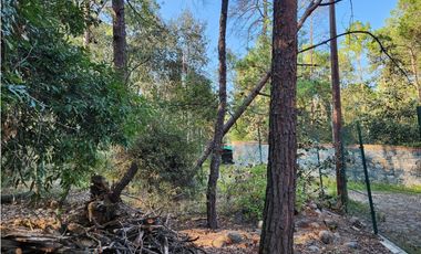 Terreno en Quinta Andrea, Huasca de Ocampo, Hgo, Malla Verde