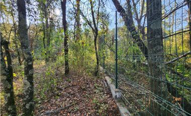 Terreno en Quinta Andrea, Huasca de Ocampo, Hgo, Malla Verde