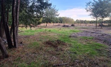 Parcela en Venta en Charrua, Cabrero