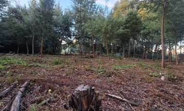 Parcela en Venta en Charrua, Cabrero