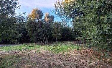 Parcela en Venta en Charrua, Cabrero