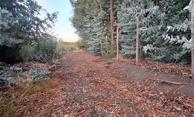 Parcela en Venta en Charrua, Cabrero