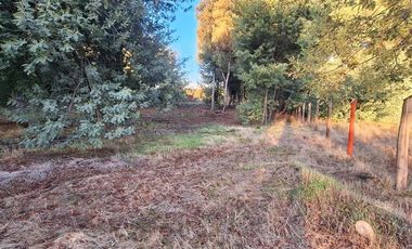 Parcela en Venta en Charrua, Cabrero