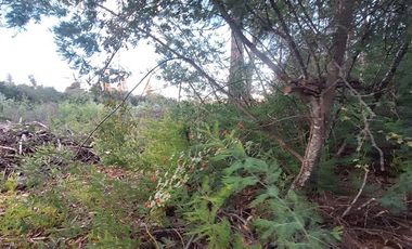 Parcela en Venta en Charrua, Cabrero