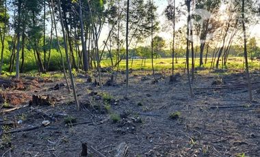 Parcela en Venta en Charrua, Cabrero