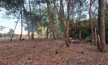 Parcela en Venta en Charrua, Cabrero