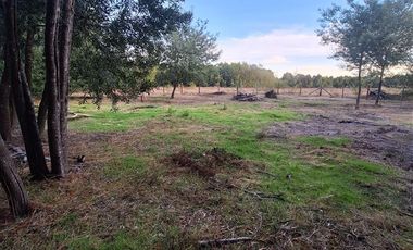 Parcela en Venta en Charrua, Cabrero