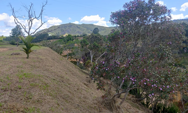 Terreno en Venta en San Vicente