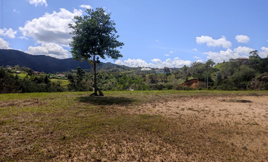 Terreno en Venta en San Vicente