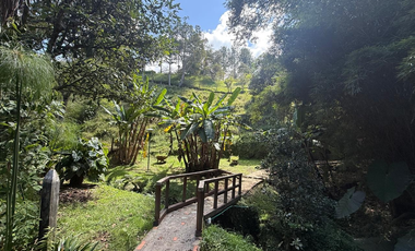 Casa en Arriendo en La Ceja