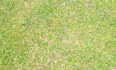 Terreno en Venta en El Retiro