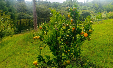 Villa en Arriendo en El Retiro