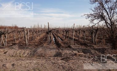 Finca en  Media Agua